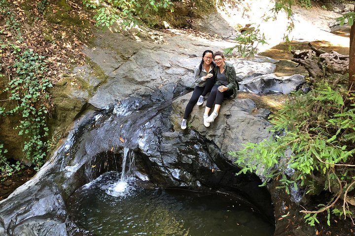 Redwoods of Marin und Mt. Tamalpais-Rundgang mit lokalem Guide