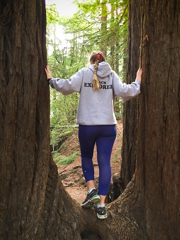 Redwoods of Marin und Mt. Tamalpais-Rundgang mit lokalem Guide