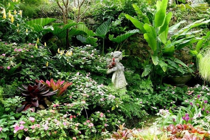 Halvdagstur till Barbados Harrisons Cave Hunte's Garden och Bathsheba