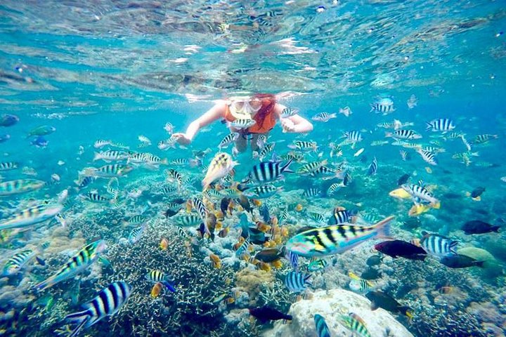 Nusa Penida snorkelavontuur (privé en all-inclusive)