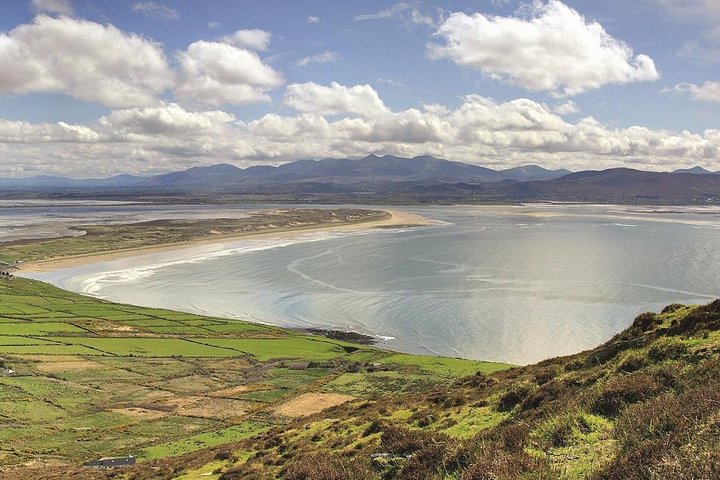 Dingle Peninsula Day Tour från Cork: inklusive The Wild Altanic Way