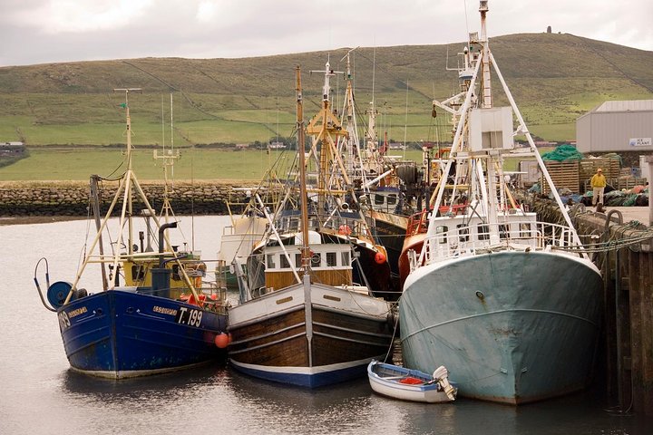 Dingle Peninsula Day Tour från Cork: inklusive The Wild Altanic Way
