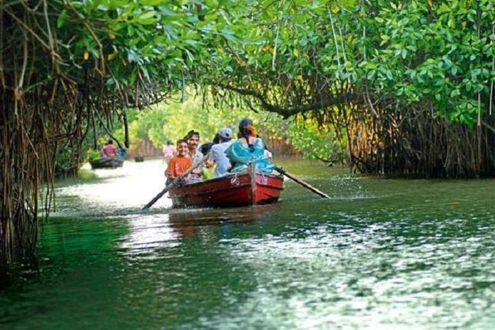 Pichavaram Mangrove e Nataraja Temple Chidambaram da Pondicherry con pranzo