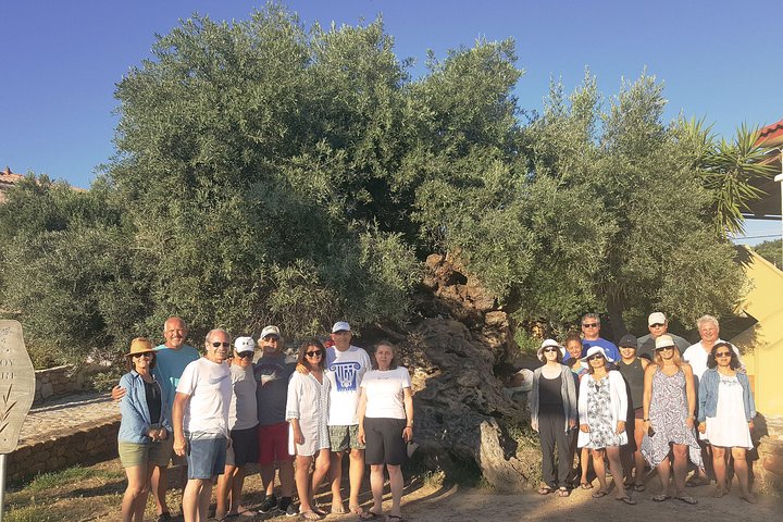 Crète excursion vin et huile d'olive