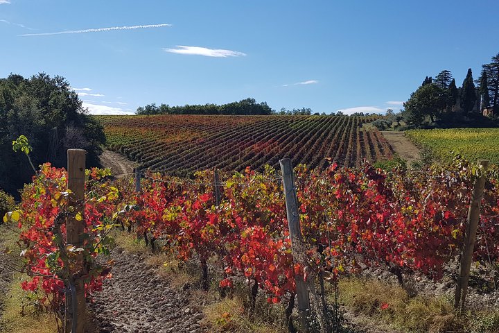 E-sykkel tur i nærheten av Assisi med vinsmaking og vingård lunsj