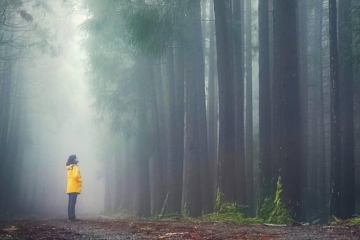 HIKING XL (privat dagstur)