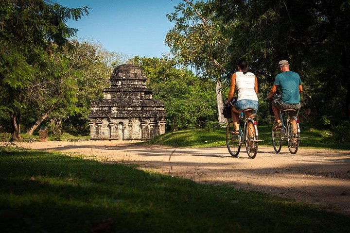 Excursion d'une journée à l'ancienne ville de Polonnaruwa depuis Negombo