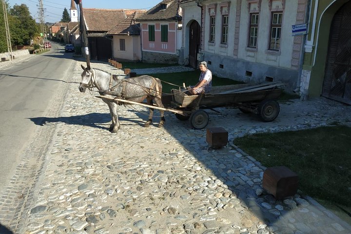 Sächsisches Erbe in Siebenbürgen: Tagesausflug von Cluj-Napoca