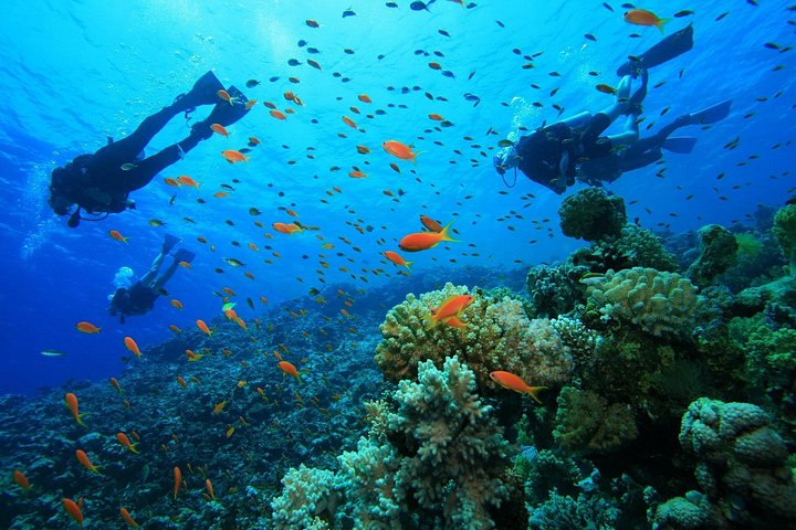Buceo en el naufragio del USS Liberty de Tulamben Bali