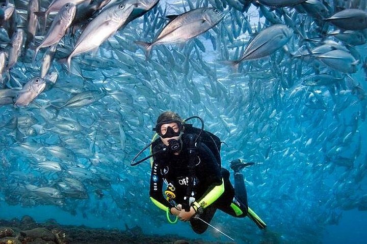 Buceo en el naufragio del USS Liberty de Tulamben Bali