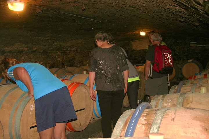 Burgund Bike Tour med vinsmagning fra Beaune