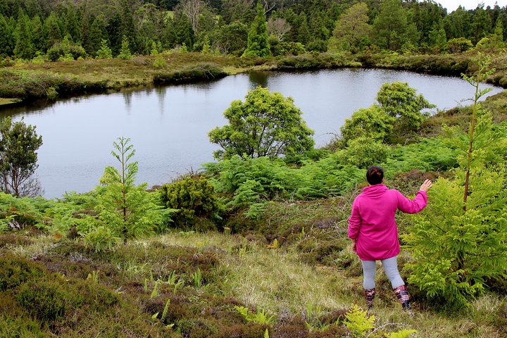 HIKING XL (privat dagstur)