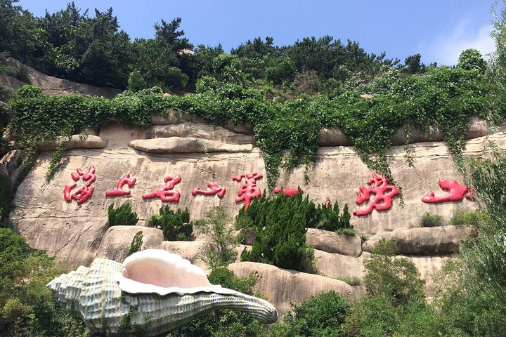 Tour giornaliero privato all-inclusive: highlight di Qingdao con pranzo