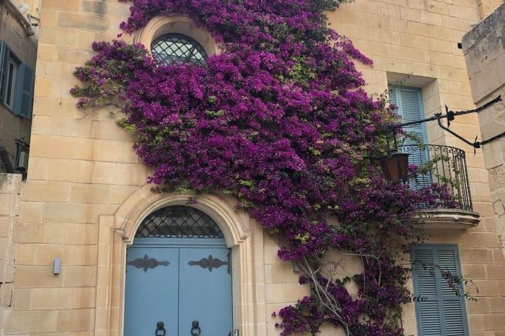 Mdina og Rabat Walking Tour inkl. Katakombene og St. Pauls grotte