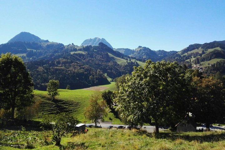 (KTL352) – Tagesausflug nach Gruyères mit Schokoladenfabrik ab Lausanne