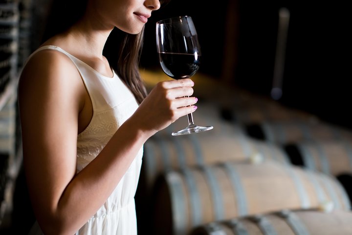 Degustación privada de vinos y almuerzo ligero de la Toscana - Alimentos y bebidas incluidos