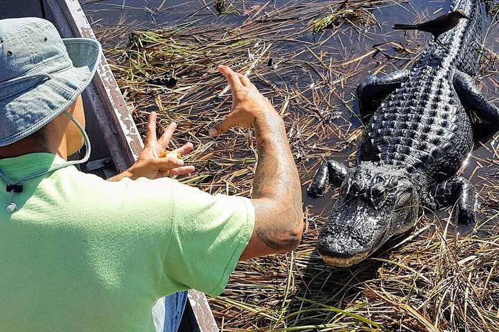 Halbtägige Everglades-Nationalparktour und 1 -stündige Fahrt mit dem Luftboot