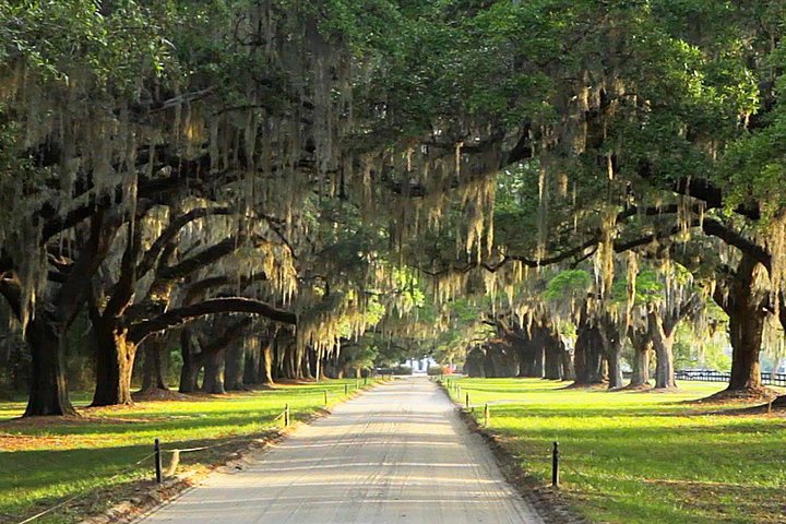 Myrtle Beach to Charleston with Horse & Carriage Ride, Harbor Cruise, Boone Hall