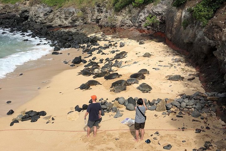 Route de Hana : Journée complète de route panoramique avec Blacksand et cascades