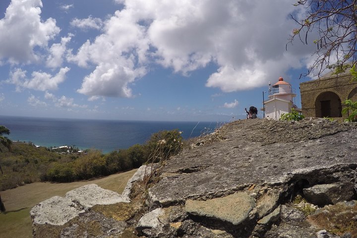 Highlights of Tobago Tour
