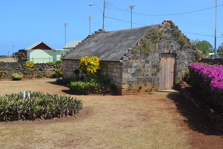 Highlights of Tobago Tour