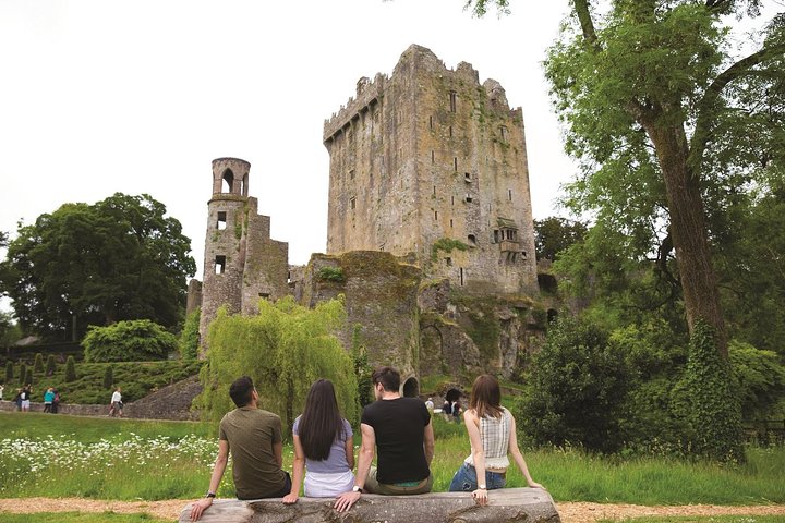 (Grupo Pequeno): Shore Tour de Cork: Castelo de Blarney e Destilaria Jameson