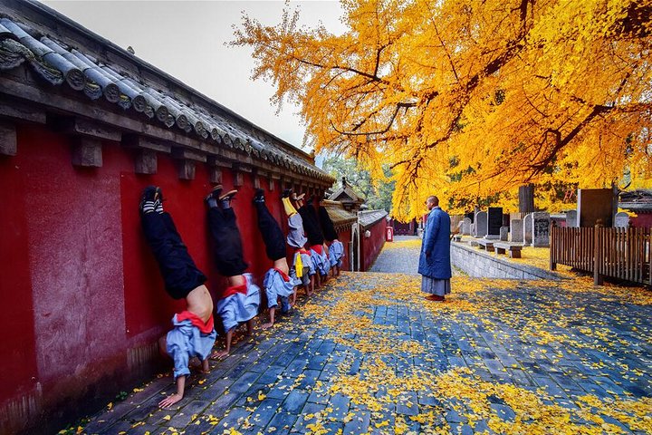 Luoyang Longmen & Shaolin privat dagstur från Xian med HSR tåg