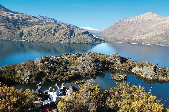 Croisière sur le lac et promenade dans la nature de l'île Mou Waho