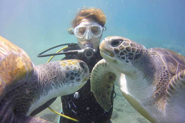 Scuba Diving Beginners Session i Costa Adeje