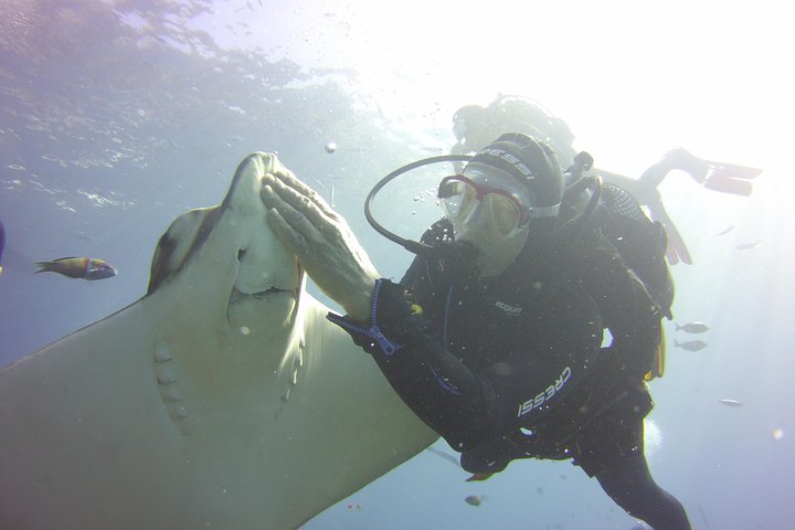 Scuba Diving Beginners Session i Costa Adeje