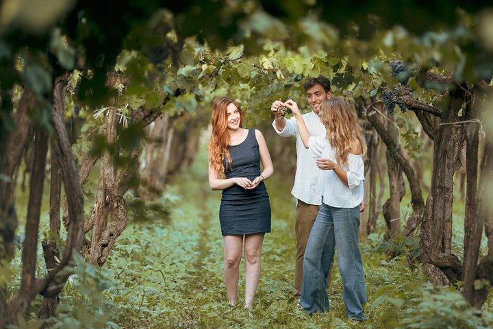 Tour degli amanti del cibo e del vino della campagna dell'Etna (piccolo gruppo o privato)