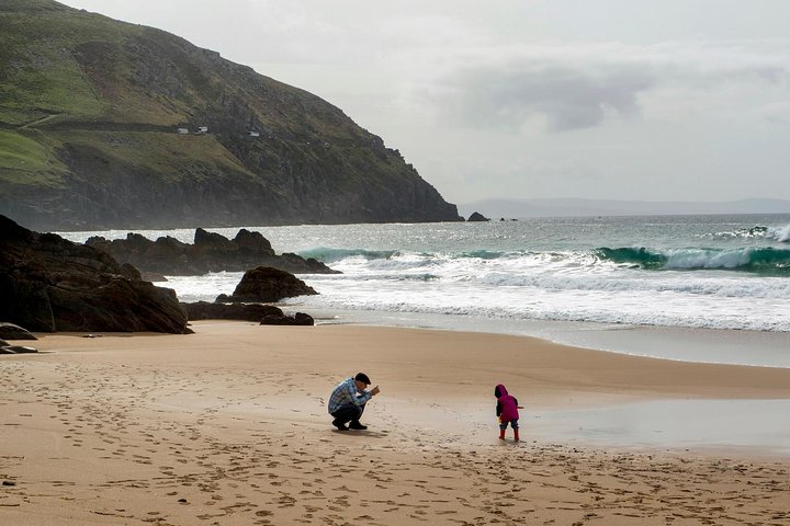 Tour di un giorno della penisola di Dingle da Limerick: la Wild Atlantic Way