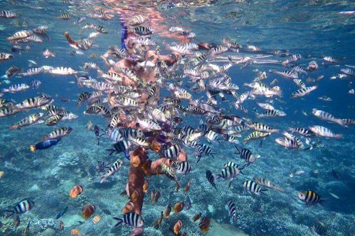 Nusa Penida snorkelavontuur (privé en all-inclusive)