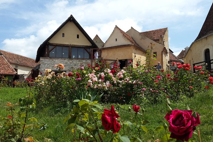 Castelo de Peles, Castelo de Bran, Fortaleza Rasnov e Mosteiro Sinaia saindo de Brasov