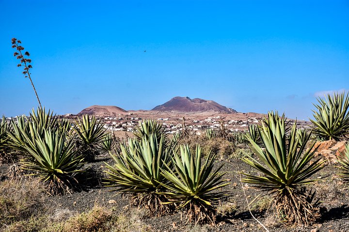 Hoteller i nærheden af Buggy Fuerteventura Off-Road Excursions