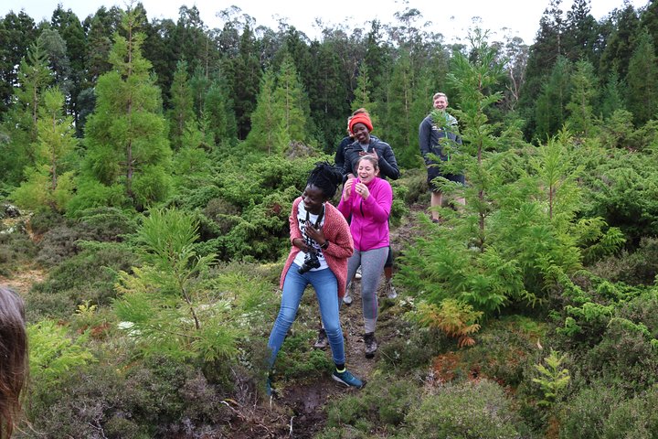 I och runt Terceira Island i en 4X4