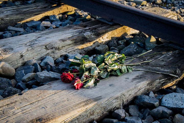 Auschwitz Birkenau Guided Tour with Ticket Hotel Pickup Small Van