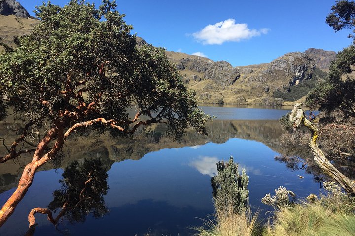 Cuenca to Guayaquil one-way tour with Cajas Park and a Cacao Farm visit