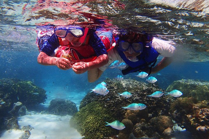 Guam's 5* Guided Snorkeling/Freediving Tour!