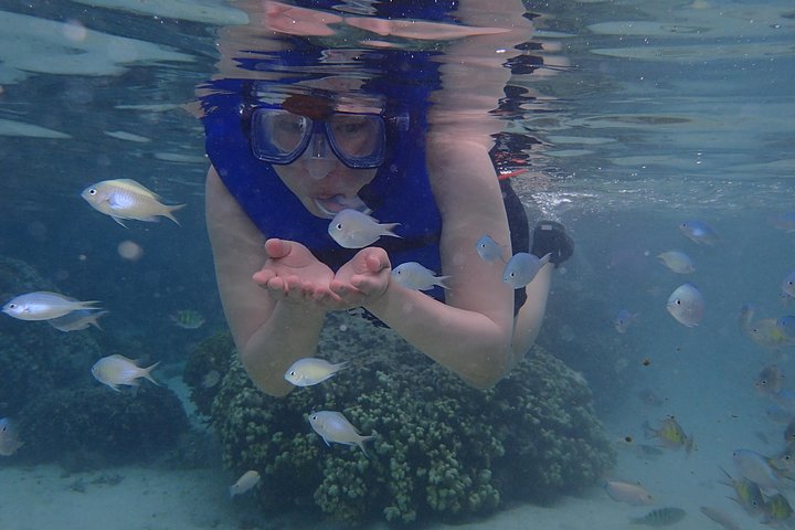 Guam's 5* Guided Snorkeling/Freediving Tour!