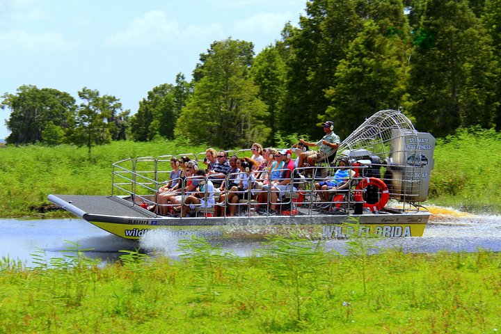 Luftbåtstur i Florida Everglades och inträde till Wild Florida med lunch som tillval