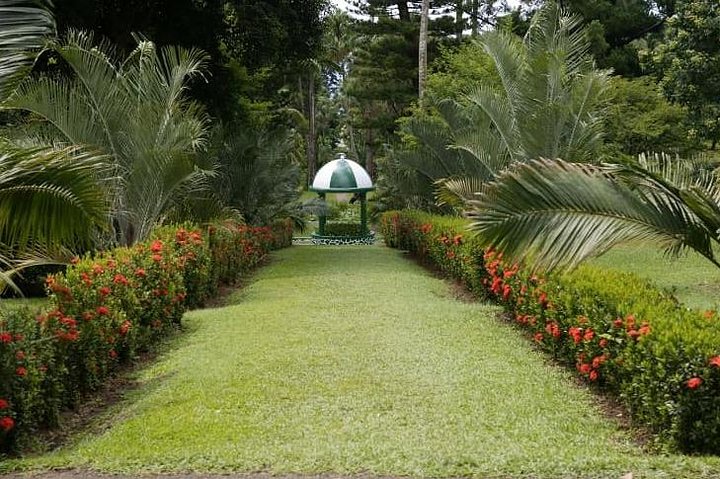 植物園と市内観光