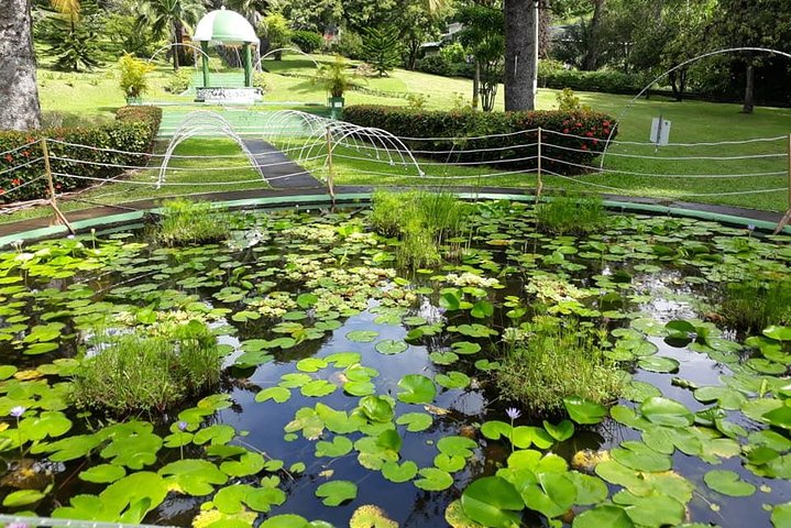 植物園と市内観光
