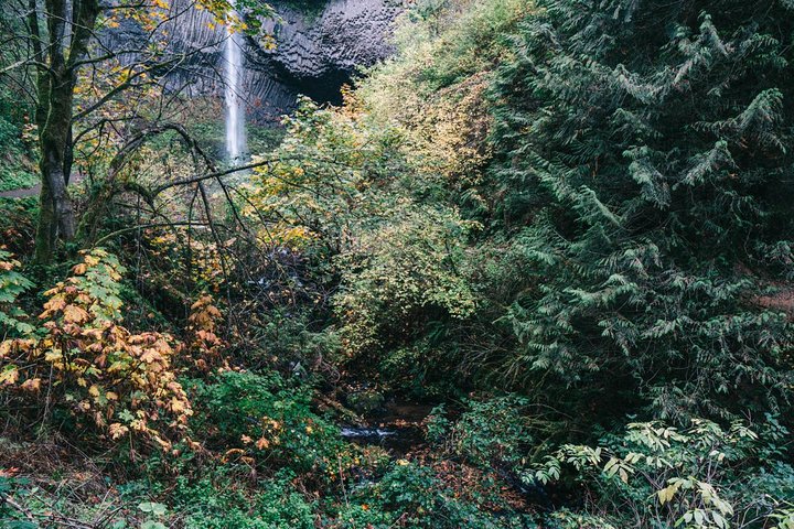 Hoteller i nærheden af Multnomah Falls and Columbia River Gorge Waterfalls