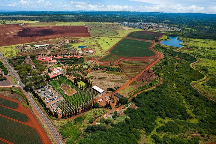 Oahu : 60 min Royal Crown Helicopter Tour - portas abertas ou abertas