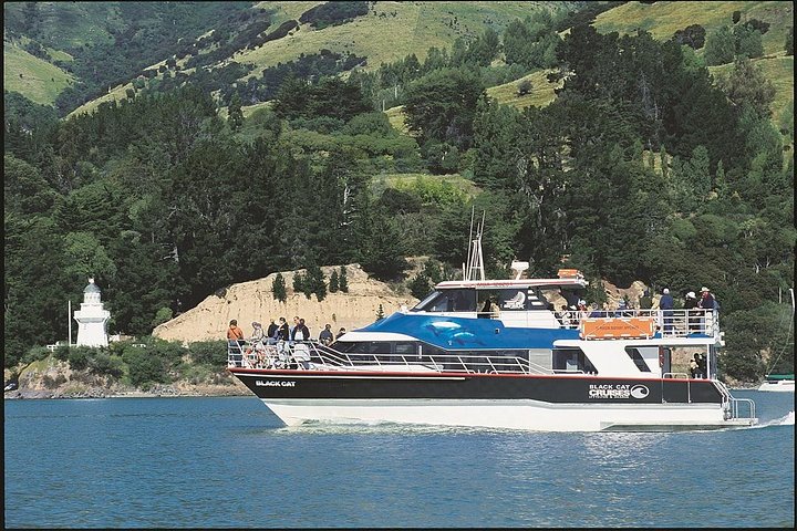 Akaroa heldags sightseeingtur fra Christchurch