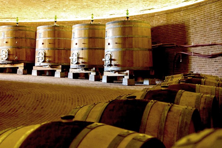 Excursión con cata de vino Brunello di Montalcino para grupos reducidos desde Siena