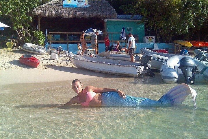 Mergulhe com snorkel e nade com tartarugas. Excursão semi-privada para Buck Island e Honeymoon Beach