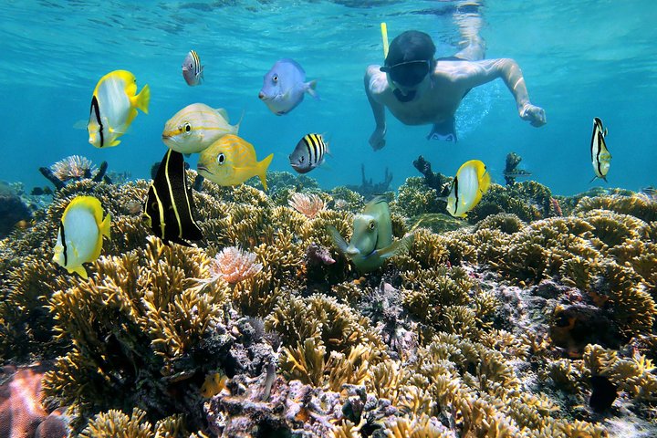 St Thomas~St John Snorkel, Swim & Beach Trip on MV Island Flyer