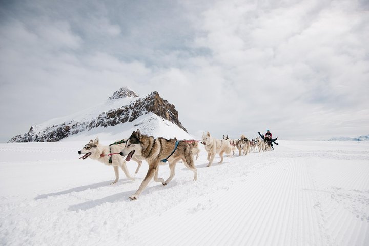 Ticket naar Glacier 3000 inclusief kabelbaan en wandeling over hangbrug Peak Walk by Tissot